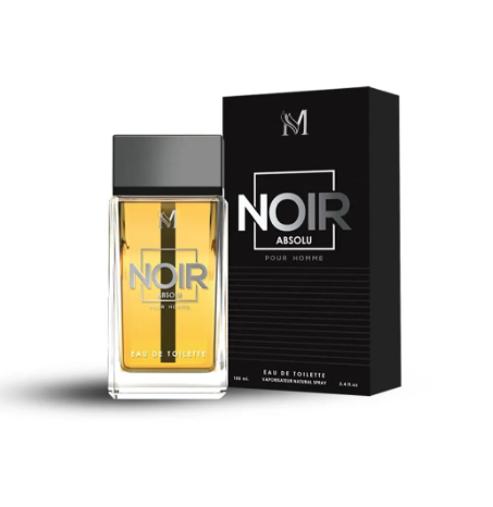 Noir Absolu 100ML - Inspirat din Dior Homme Intense